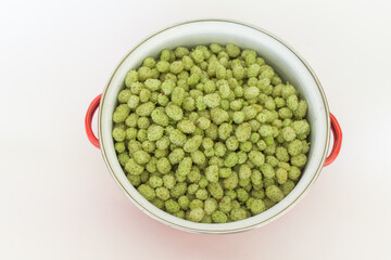 Top view mulberries in pot on white background. horizontal