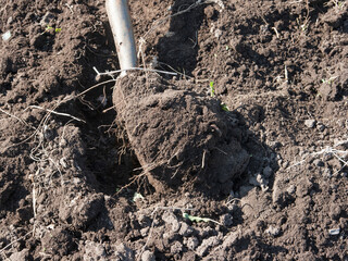 A man digs up the ground in the garden.