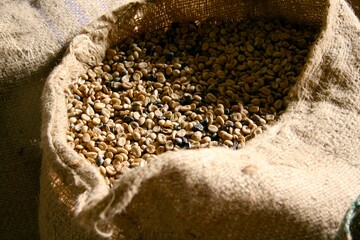 bags of coffee beans ready for roasting