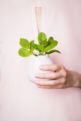 Female hand holding pale violet vase with mint leaves on a light pink background. Copy space