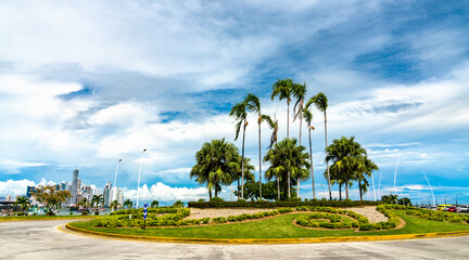 Fototapeta na wymiar Palm trees at a roundabout in Panama City