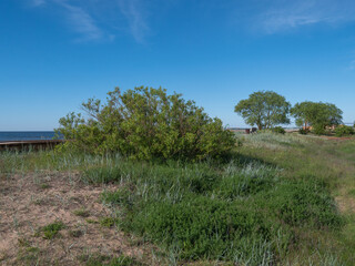 Clear Beach on Baltic Sea near city Kunda Estonia