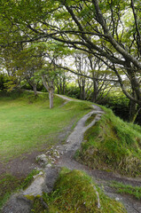 Fototapeta na wymiar Cercle de fée, utilisé pour les prières, formé d'un amoncellement de terre avec un sentier cheminant sous les arbres dans la région des Burren à l'ouest de l'Irlande.