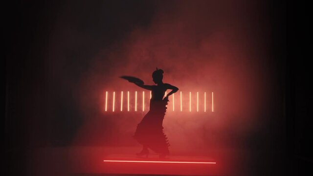 Flamenco Silhouette. Dancer in the dark room. Llight from behind. Smoke background. Slow motion