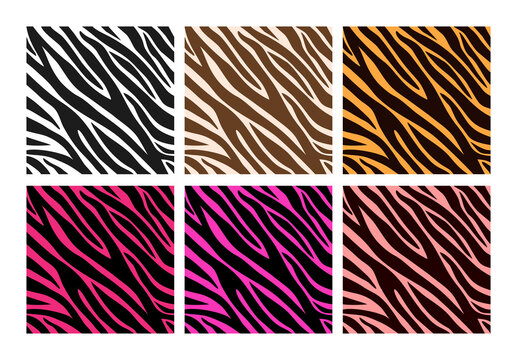 Colorful zebra print. Vector skin zebra seamless pattern for textile, fabric, wallpaper, wrapping paper, poster, background, web. Wild animal zebra striped lines.Realistic animal texture.Fashion style