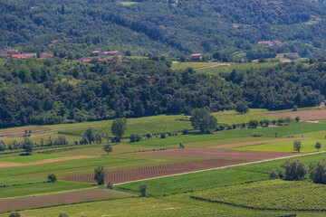 Fototapeta na wymiar Berici hills in Italy