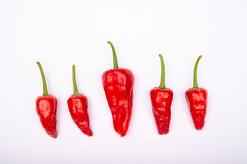 Red isolated chili pepper close up view with white background and copy space