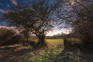 Mawnan Smith, Cornwall