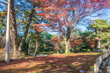 Fototapeta na wymiar Kenrokuen Garden of autumn maple season in Ishikawa Prefecture, Japan.