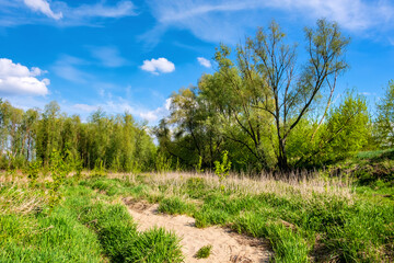 Obraz premium Panoramic view wetlands wooded meadows of Lawice Kielpinskie natural reserve at the Vistula river near Lomianki town north of Warsaw in central Mazovia region of Poland