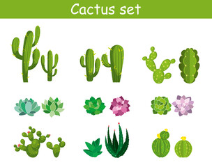 Vector set illustration of cute cartoon cactus with flowers, cacti, aloe, succulents and leaves in a flat style. Collection of exotic plants for cards, invitations, sticker, banner, web