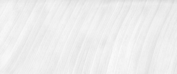 Obraz premium White background,Banana leaf,Leaf pattern,White natural.