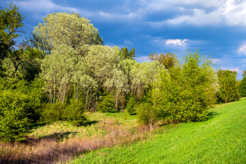 Fototapeta na wymiar Panoramic view wetlands wooded meadows of Lawice Kielpinskie natural reserve at the Vistula river near Lomianki town north of Warsaw in central Mazovia region of Poland