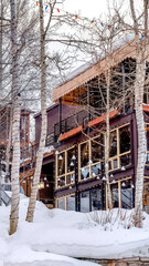 Fototapeta na wymiar Vertical frame Beautiful building exterior with leafless aspen trees on snowy ground in winter