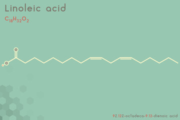 Large and detailed infographic of the molecule of Linoleic acid
