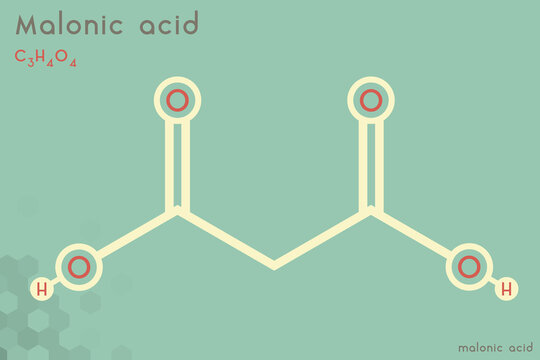 Large and detailed infographic of the molecule of Malonic acid
