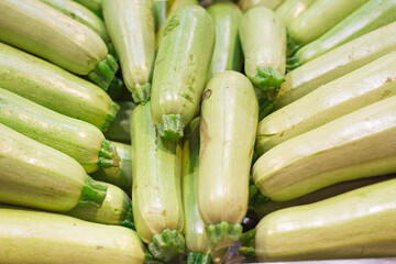 Courgettes exposed in the market. Green colors. vegetables on the market. Background. Selective blur.
