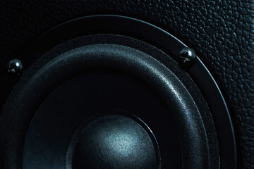 Close up details of black loudspeaker woofer