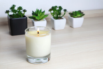 Fototapeta na wymiar aromatic scent glass candle and small cactus in the pot are displayed on the table in the bedroom to create relax and romantic ambient on happy valentine day