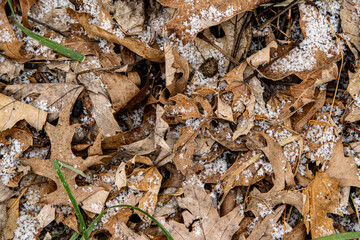 Winter Floor
