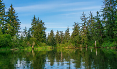 Fototapeta na wymiar Beautiful and Historice Chehalis River Kayak Trip Montesano, Washington State