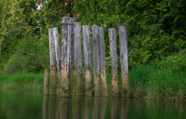 Old Abandoned Dock Works Of Chehalis River, Montesano Washington