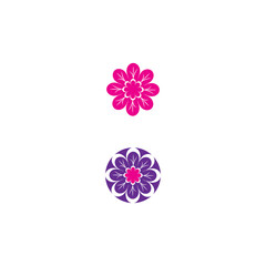 Beauty icon flowers design illustration