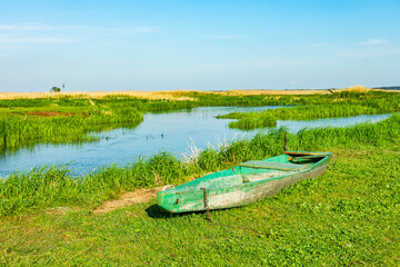 Narew Podlasie Podlaskie Narwiański Park Narodowy  Rzeka woda kajak łódka trzcina