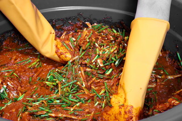 One step in making kimchi is to mix the chopped vegetables and kimchi sauce together. Traditional...