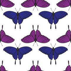 Obraz premium seamless butterfly pattern on white background. Vector image