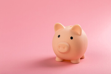 beautiful pink piggy bank on rose background.