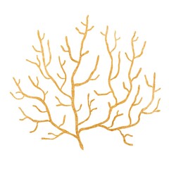 Decorative illustration of yellow sea coral isolated on a white background. Illustration for use in design, for printing on paper, ceramics. underwater organisms.