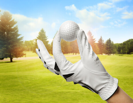 Player holding golf ball in park on sunny day, closeup