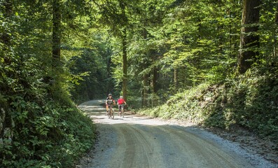 Tourist couple on a bike tour on a dirt path lined with trees on a sunny day - Powered by Adobe