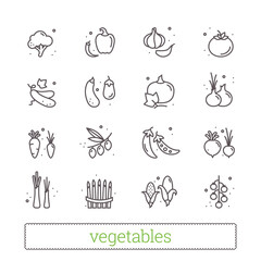 Vegetables thin line icons. Modern linear design elements and food symbols for web interface and mobile app. Isolated vector set on white background.
