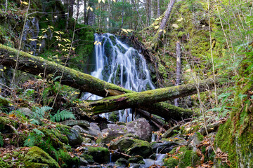 waterfall in the woods
