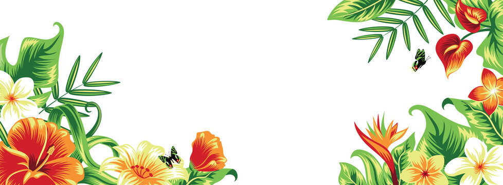 Banner with tropical leaves and flowers. Isolated on white.