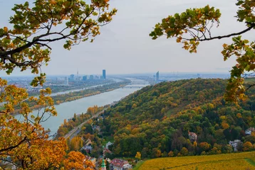 Fototapeten View of the Danube River and the city of Vienna, Austria on an autumn day. Bright yellow and green leaves on trees in the park, skyscrapers and bridges on the horizon. © Hanna