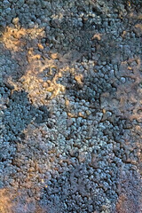 Rusty texture. Grunge background. Dry ground and old metal.