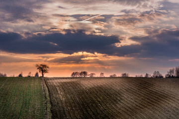 sunset over a plowed field