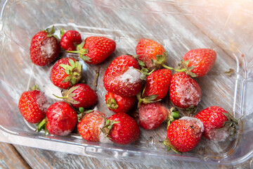 Moldy strawberries in the box. Rotten berries in summer. Bad conditions of preservation.
