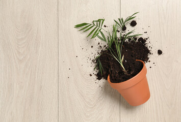 Overturned terracotta flower pot with soil and plant on wooden background, flat lay. Space for text