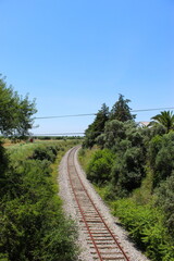 Old railway with trees on the side.