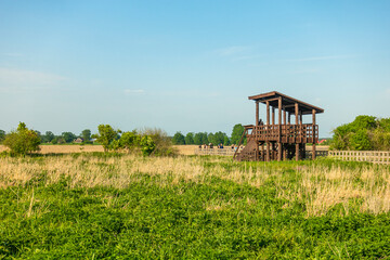 Narew Podlasie Podlaskie Narwiański Park Narodowy  Trawa trzcina punkt widokowy