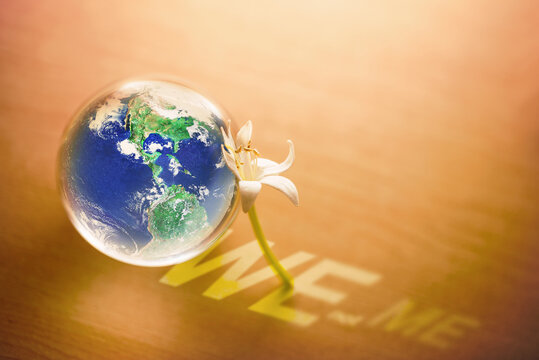 Earth glass marble with flower and blurred words We not Me on wood background, World environment and Climate change concept, Elements of this image furnished by NASA