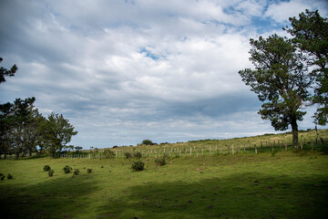 Fototapeta premium paisaje Montañoso del país vasco con nubes en un dia de verano