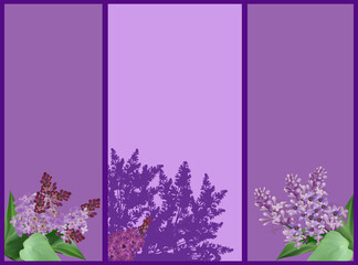 lilac flower branches in frame illustration