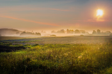 Obraz premium sunrise over the field and meadow