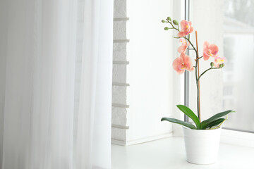 Beautiful artificial plant in flower pot on window sill. Space for text