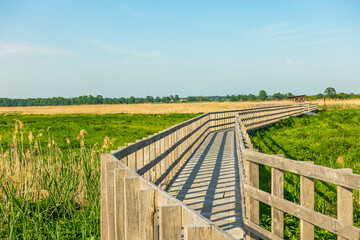 Narew Podlasie Podlaskie Narwiański Park Narodowy  Most kładka trzcina